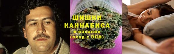 СК Вяземский