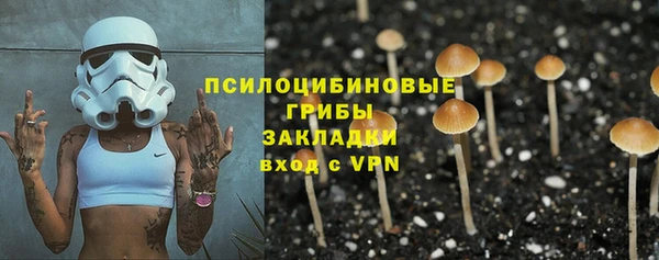 СК Вяземский