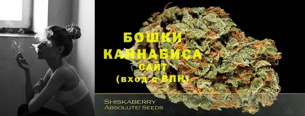 тгк Вязьма