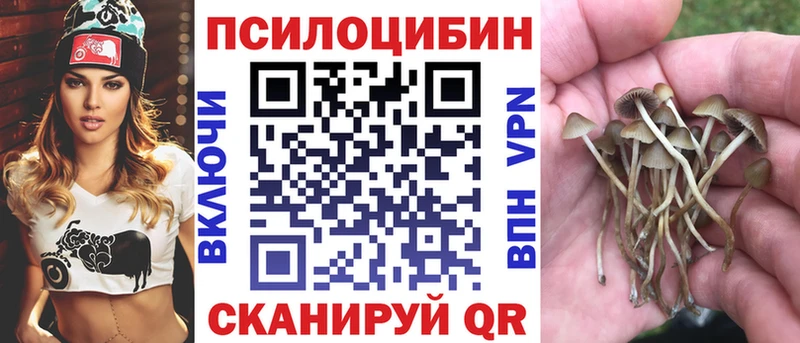 Псилоцибиновые грибы Cubensis  Белоусово 